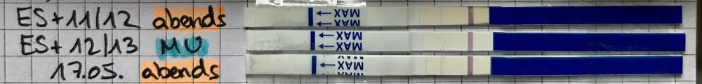 akau2bjcqnw3.webp
