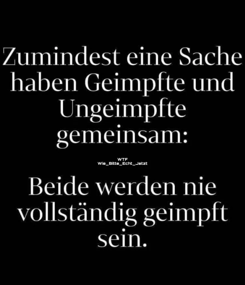 sle17rcle3r6.webp
