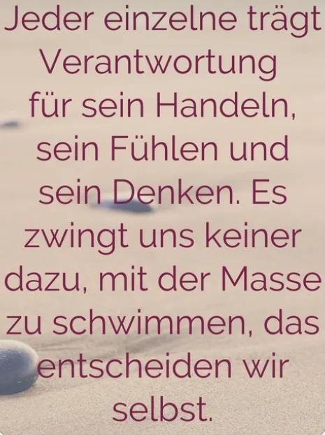 pcqjxl2y86za.webp