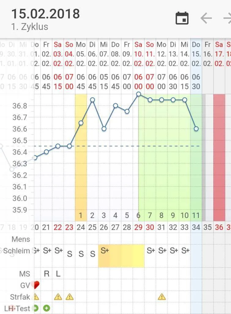 6lgq39ulk575.webp