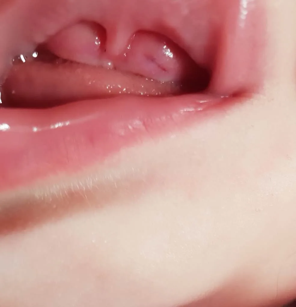 5ty1hb25qm48.webp