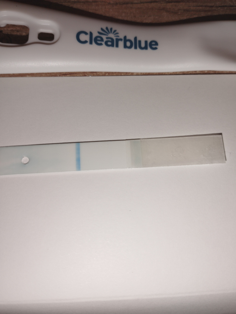 e6sz0cy33840.jpg