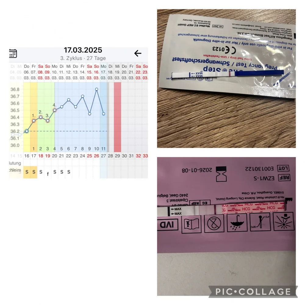 9ix6g6hs11mv.webp