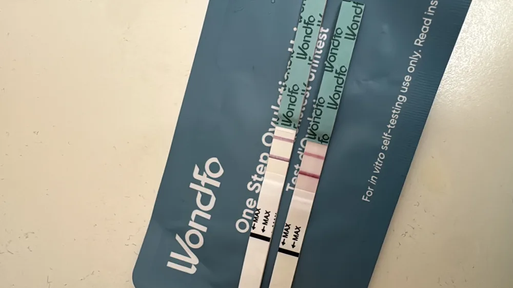 4vcqh2fuv4kg.webp