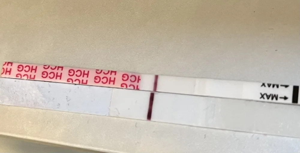 6vn8htu2e93h.webp