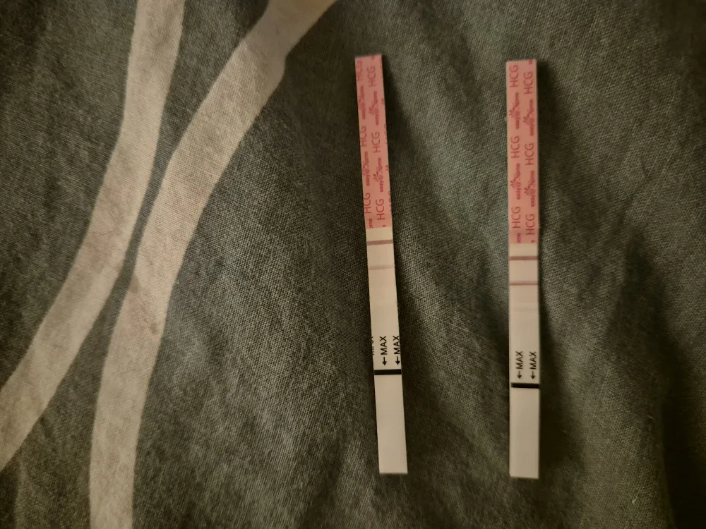 5hdsopc69qa2.webp