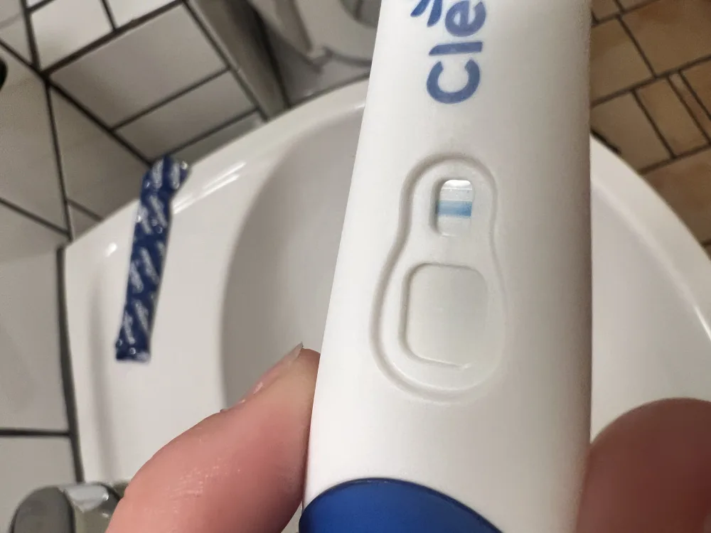gf1ywdfydfjd.webp