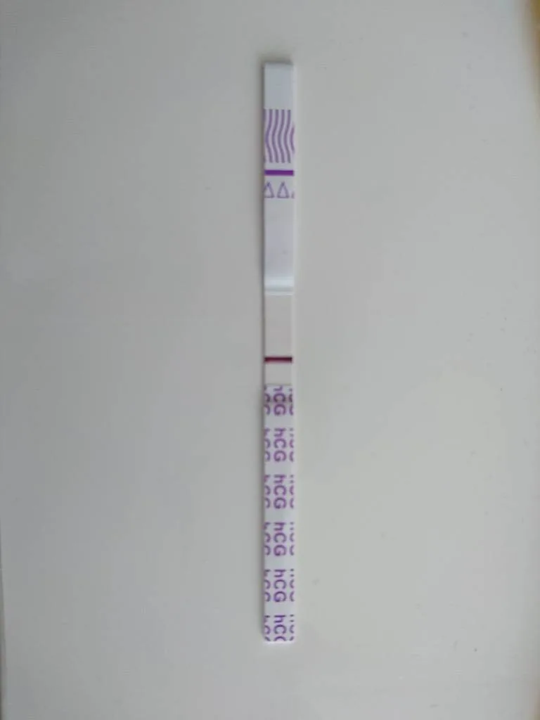 vcuai72jqmnh.webp