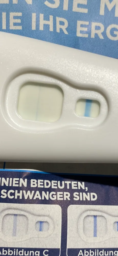 h91781iekwnr.webp