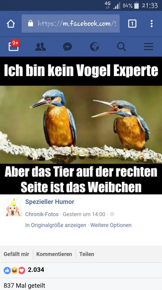 nm9ppigtsnoj.webp