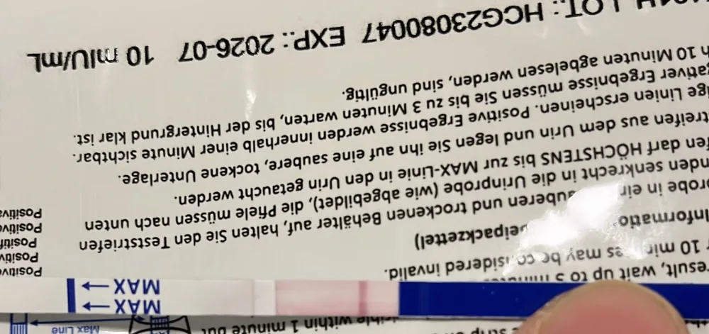 z7wg7r0uv6ql.webp