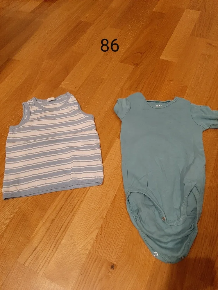 82rfhor9r3j1.webp