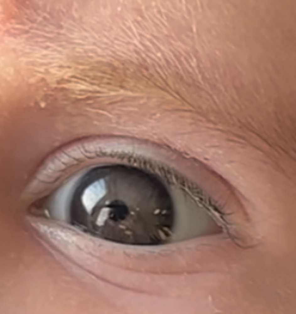 egn358vk4pmx.jpeg
