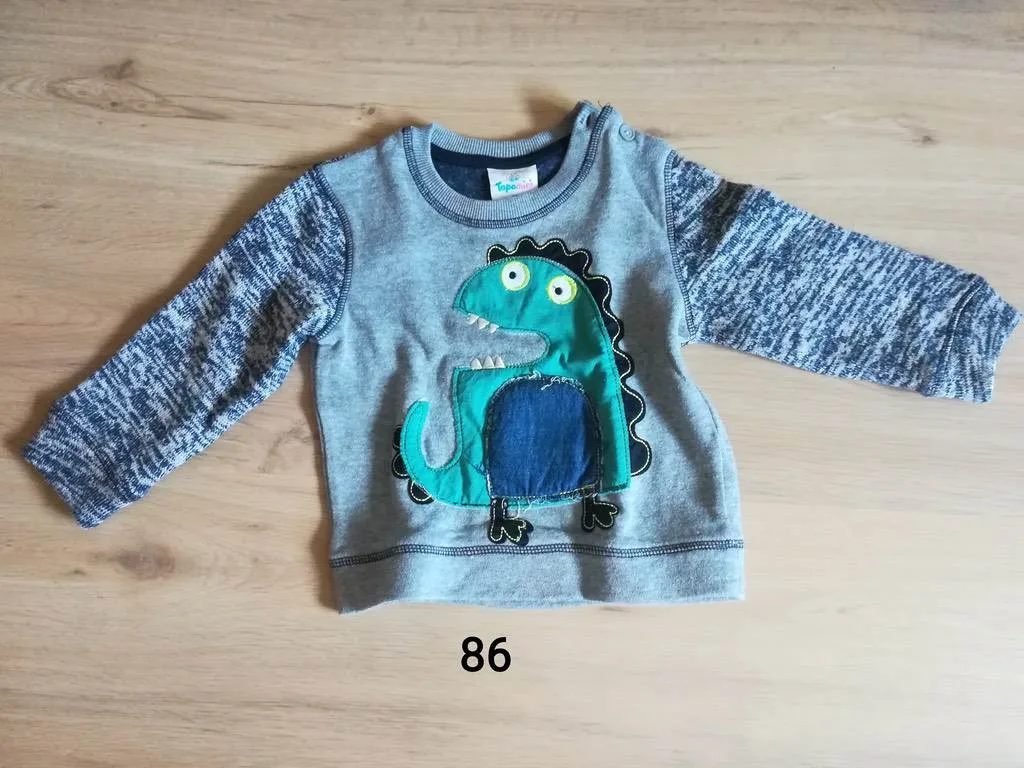 rzfp2501smji.webp
