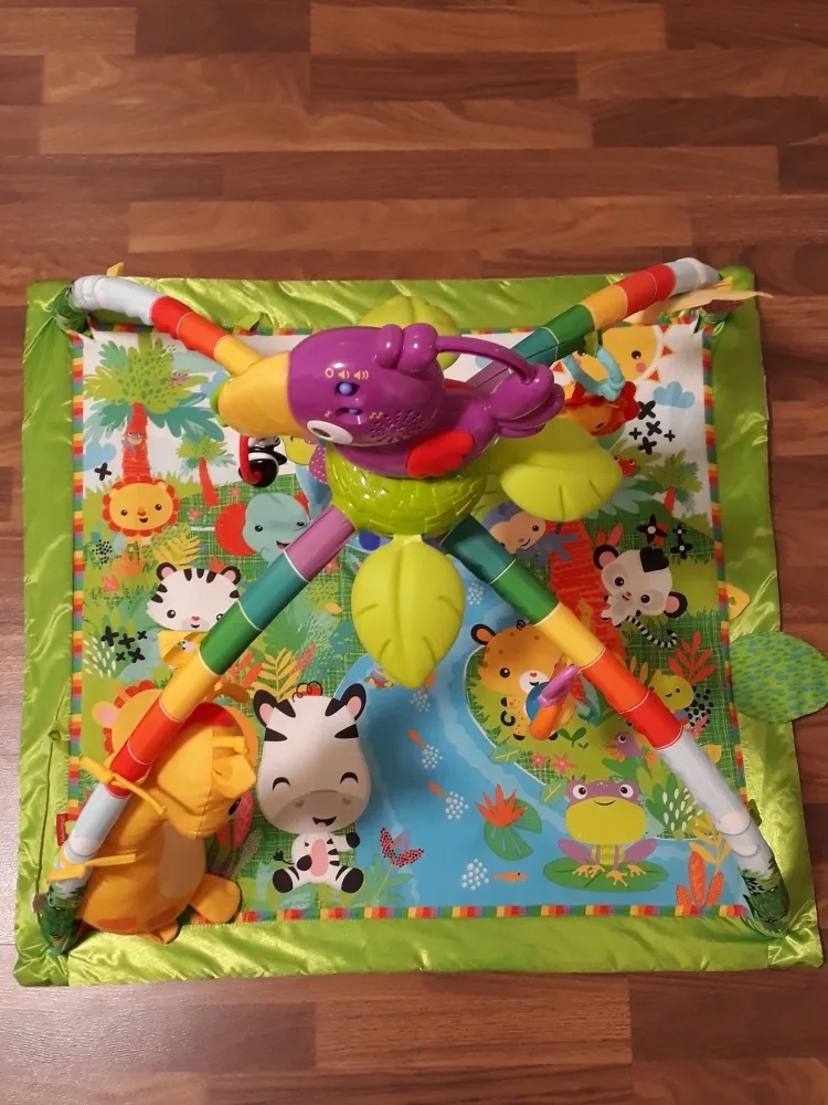 6k6com9jx5xe.webp