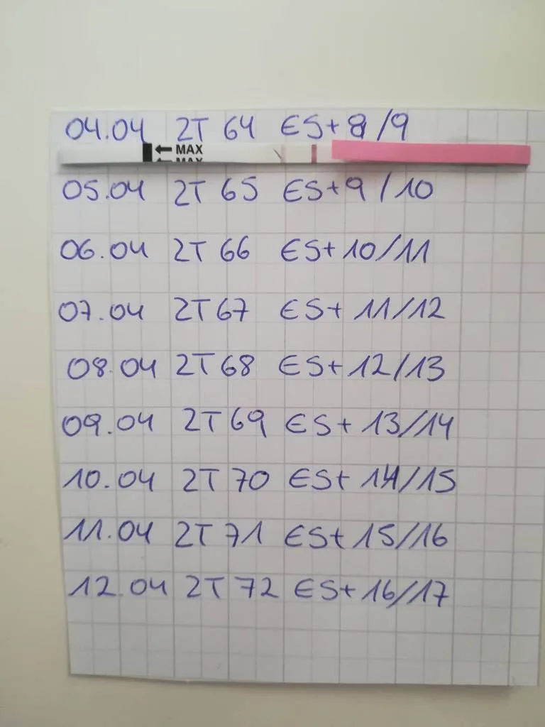 31xezejoff83.webp