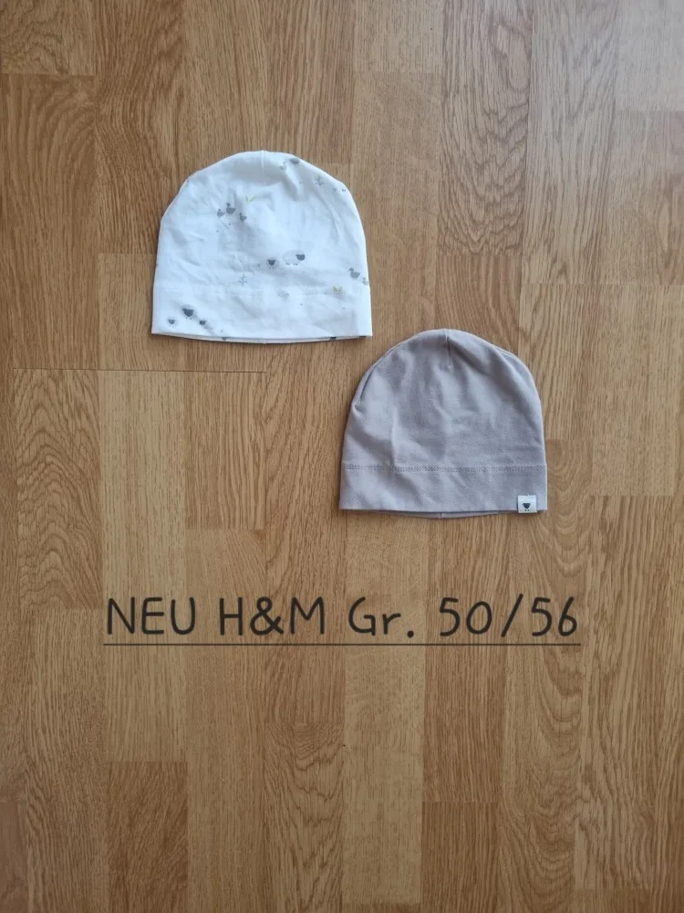 3m6qo2a2g0qn.webp