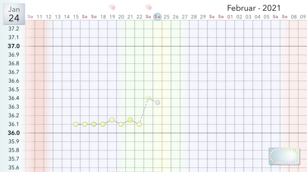 plepgew3oxyf.webp
