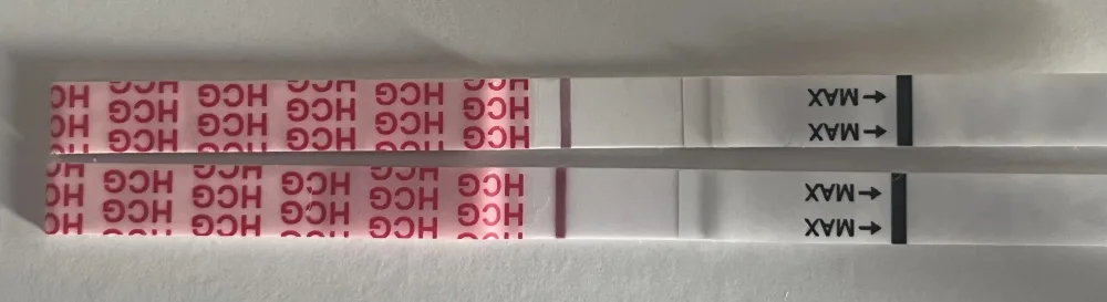 z2hz701qdirb.webp