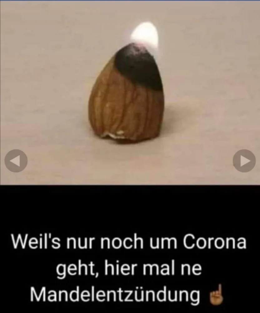 digozbfn2208.webp