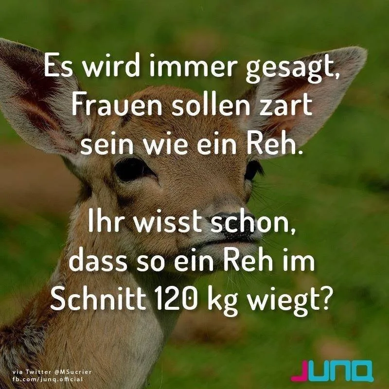 ayxr4wtaud3z.webp