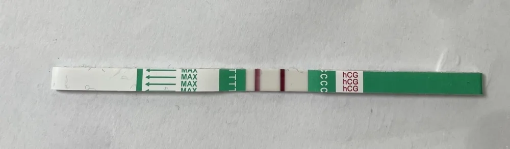 eguauqoff3xa.webp