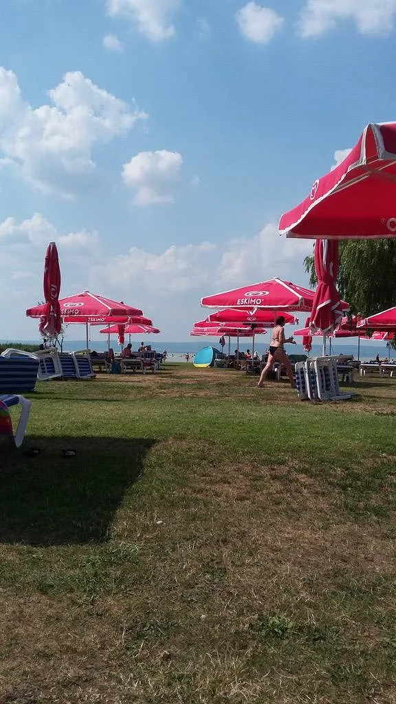 s6rdzgr9apfe.webp