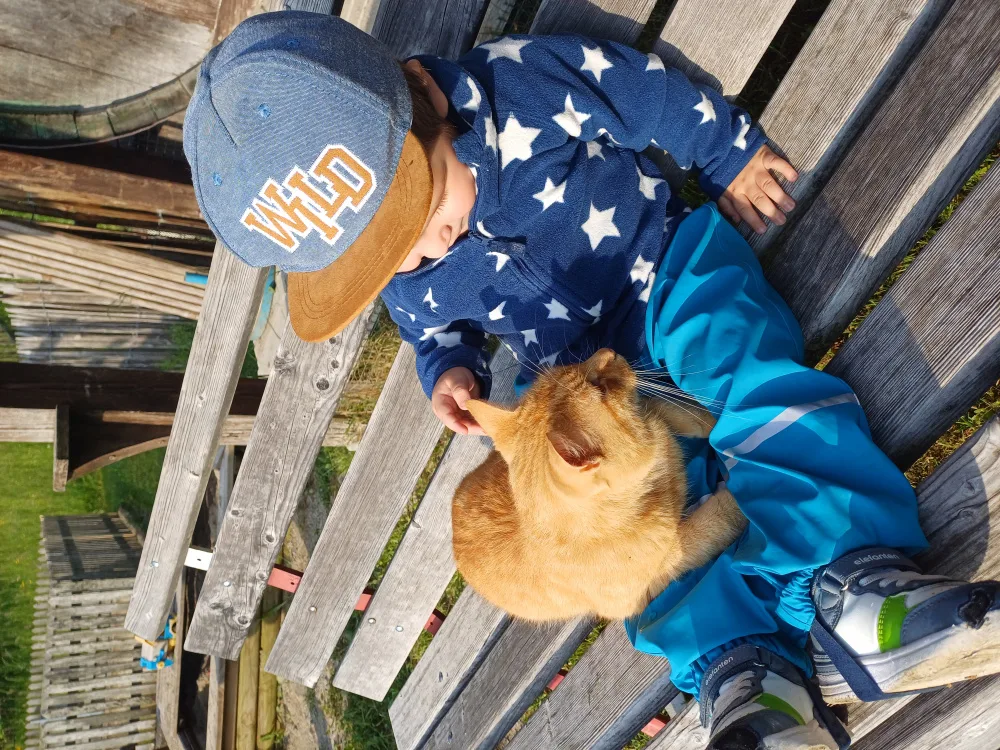 f1nlq349sbnm.webp