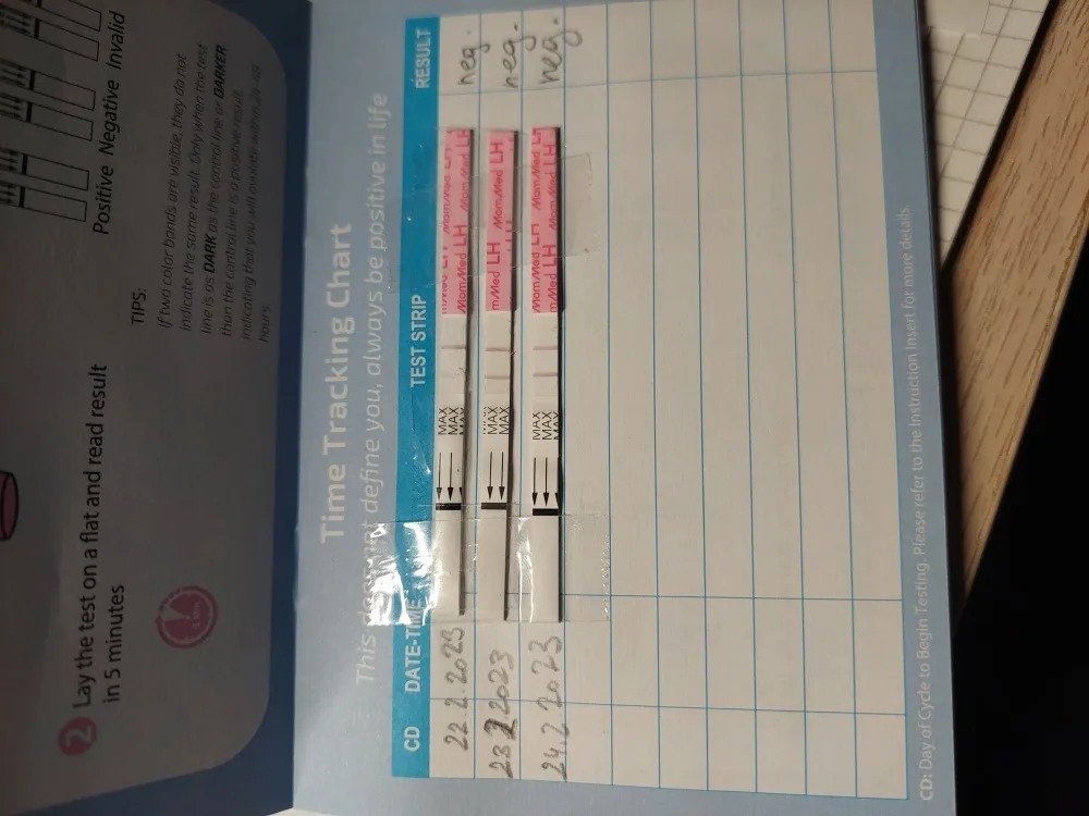 d8xhpq09nrph.webp