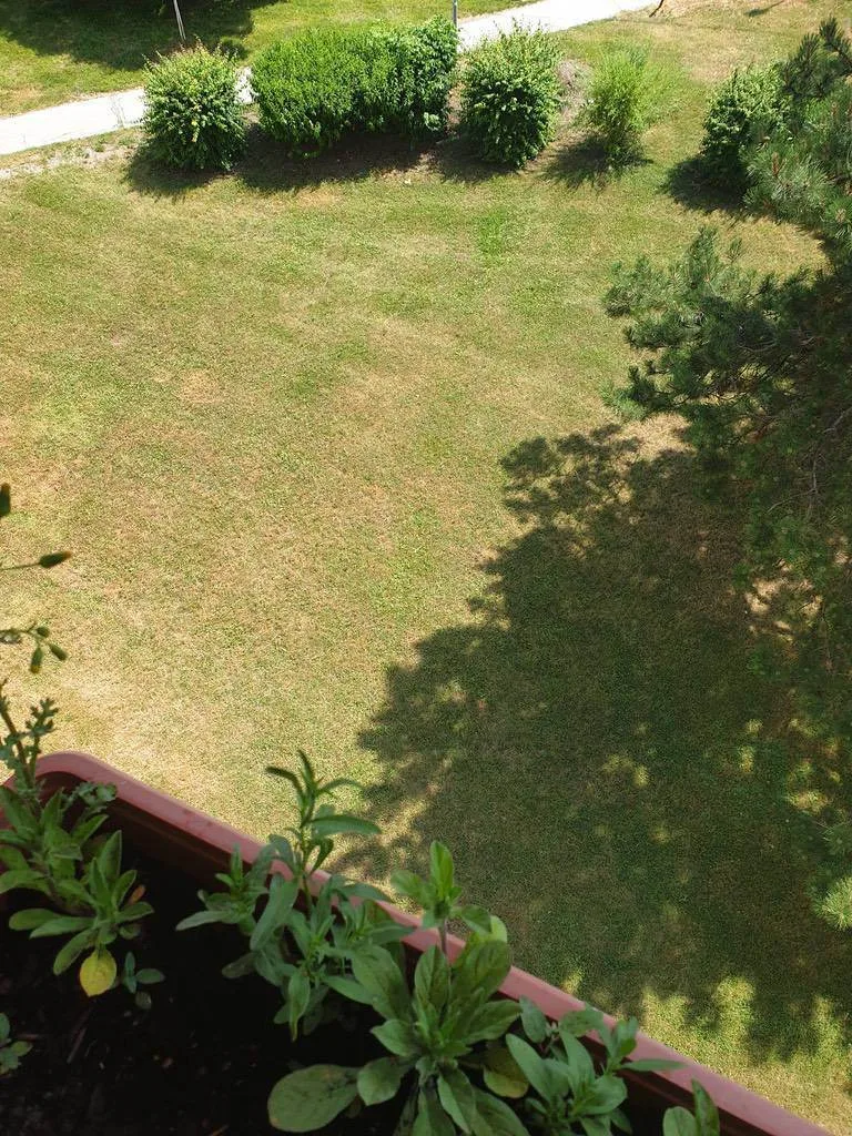 uz7403c3a3v0.webp