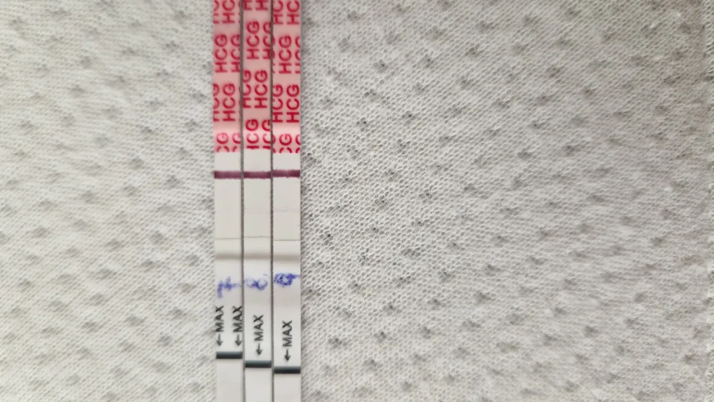 bgew707bd0d8.webp