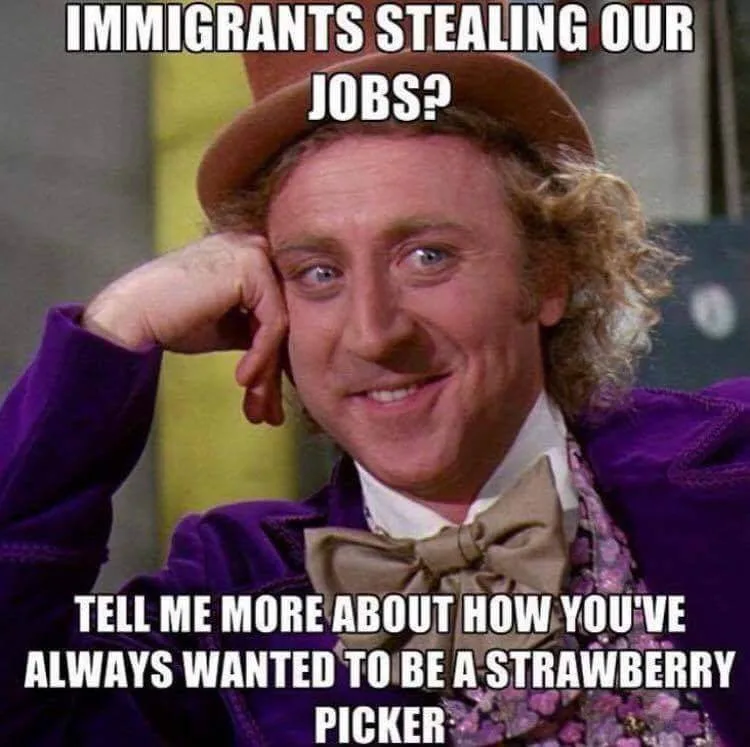 qxrek1jqlpzz.webp