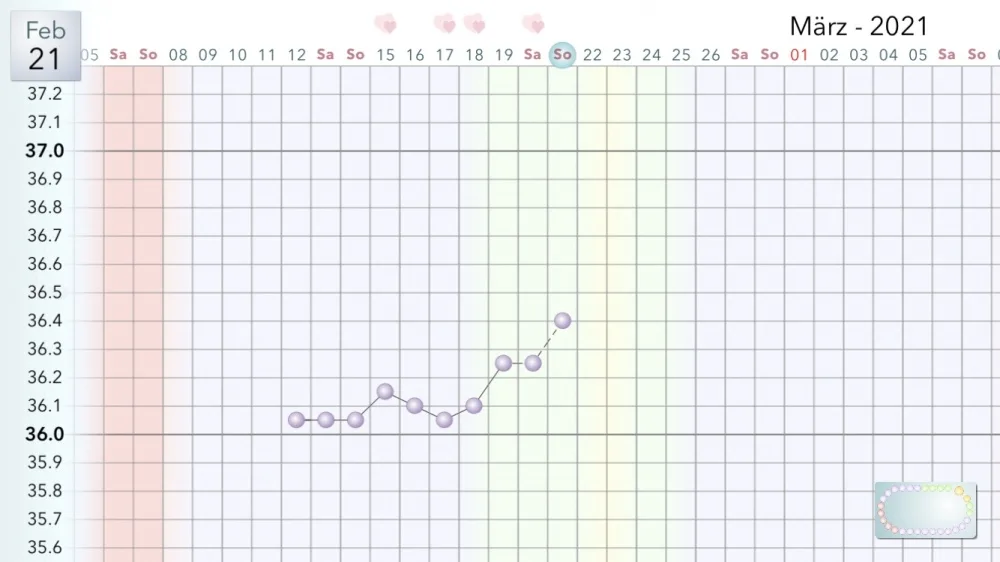 q6ufhi50oocu.webp
