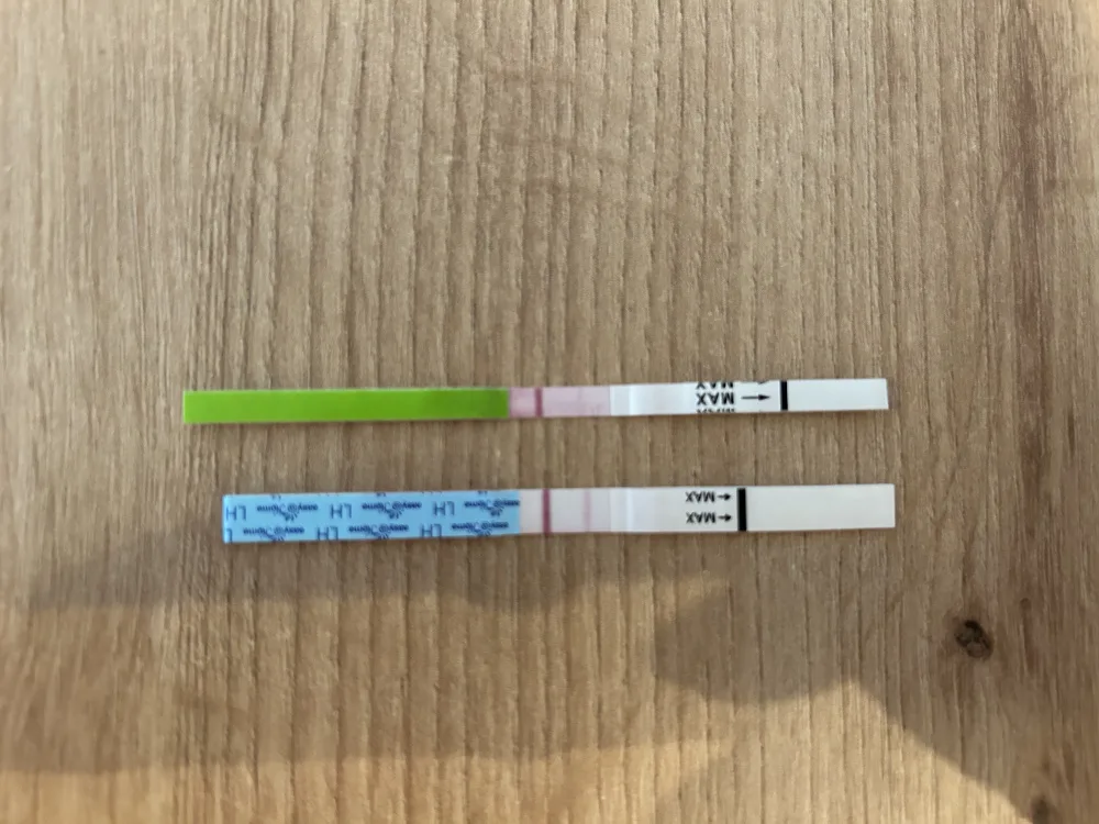 avyndofqlrn8.webp
