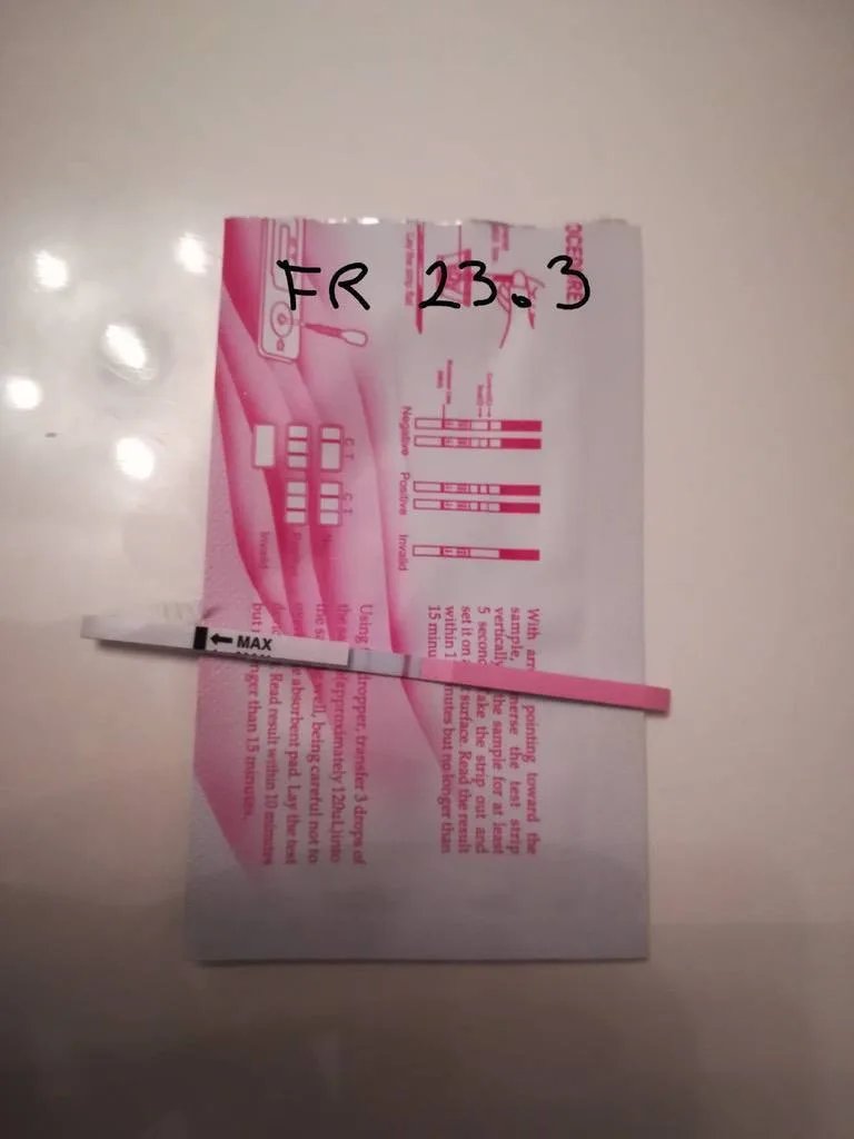 5rr7n74rgwfg.webp