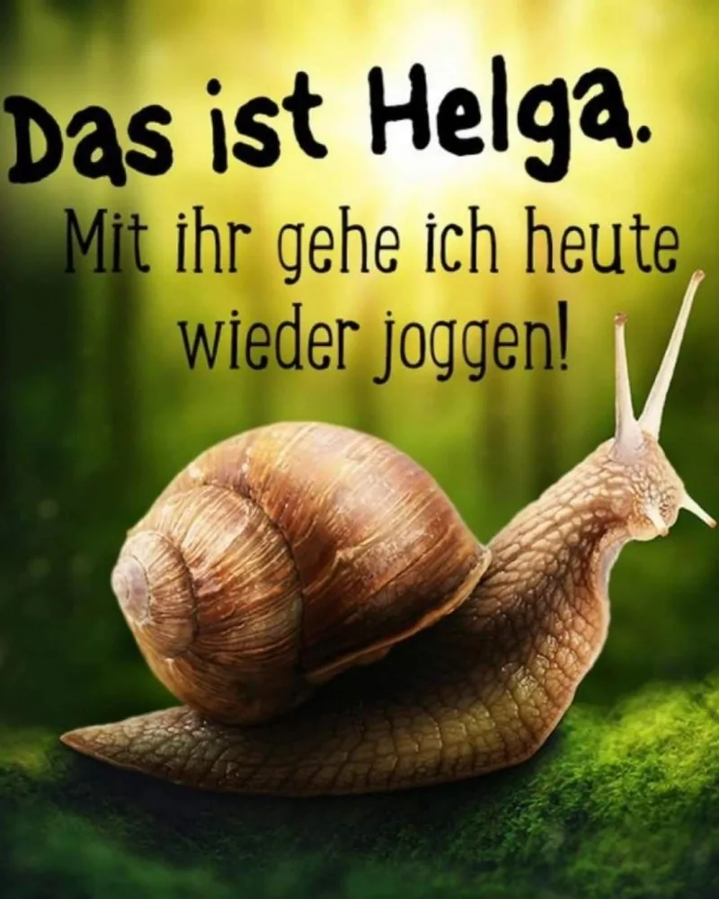 eijpkhvz7lg7.webp