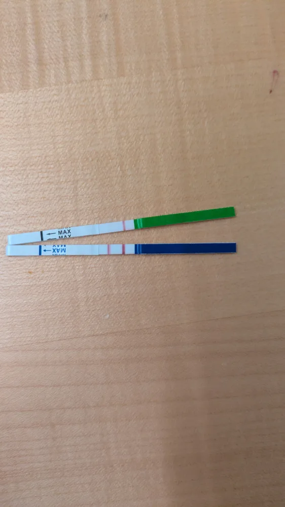 vayvncseursf.webp