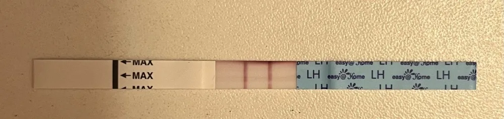 acpuwe54al6v.webp