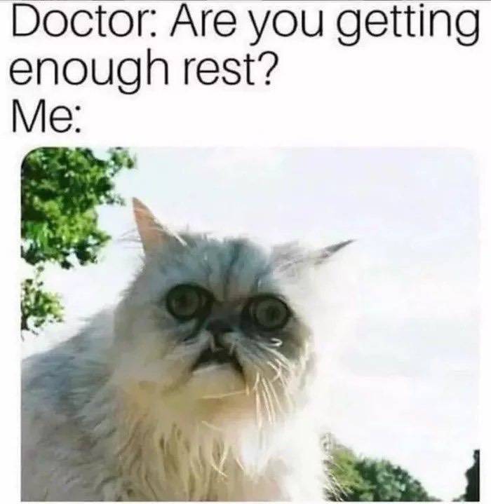 evwtoaf3hcn4.jpg
