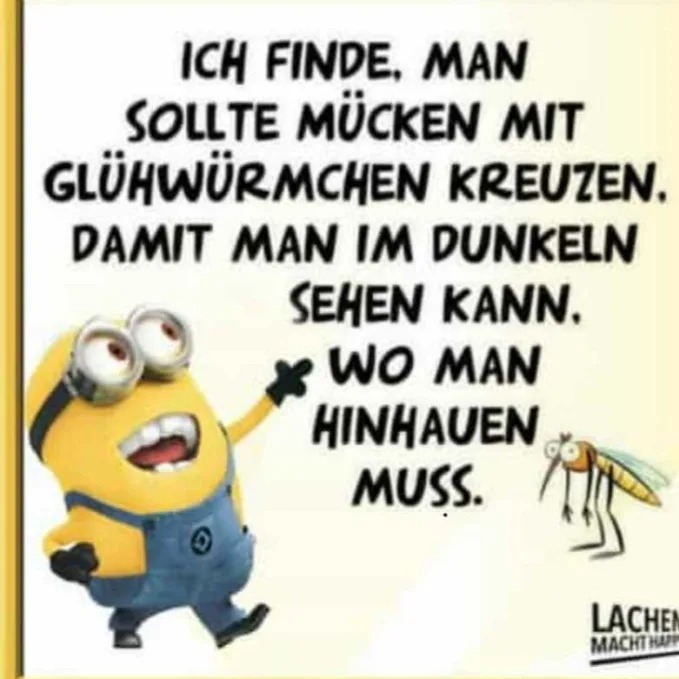 oq6xcjqko3pp.webp