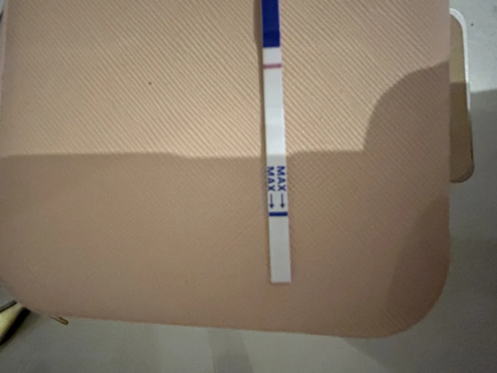 1yg44w7yv509.webp
