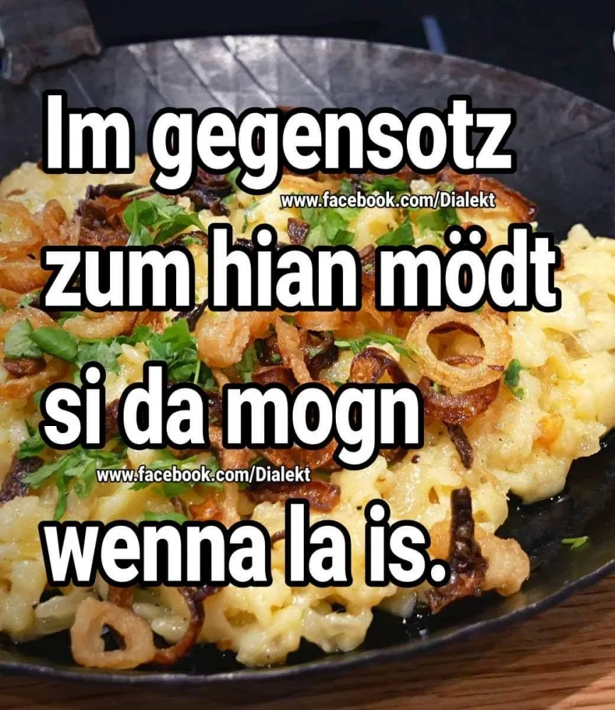ta46yu14ra2l.webp