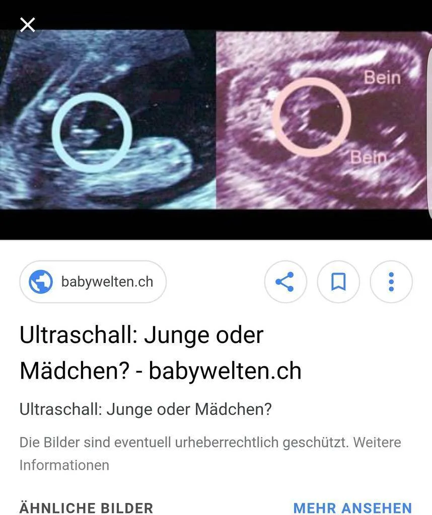 gee23twjzbcb.webp