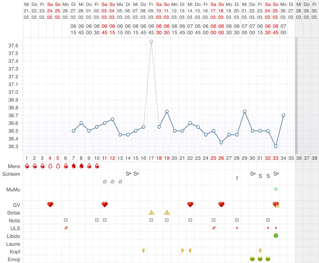 xavr5zbmgkcz.webp