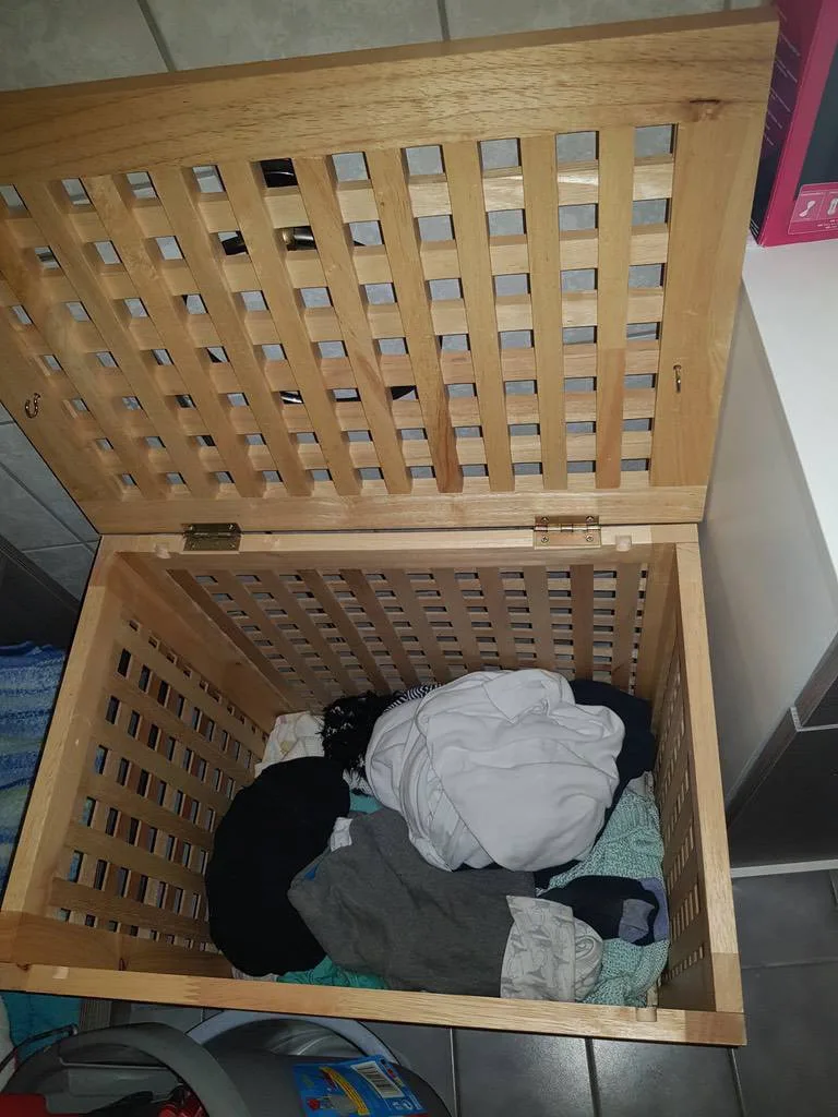 sb9hvg6utkbe.webp