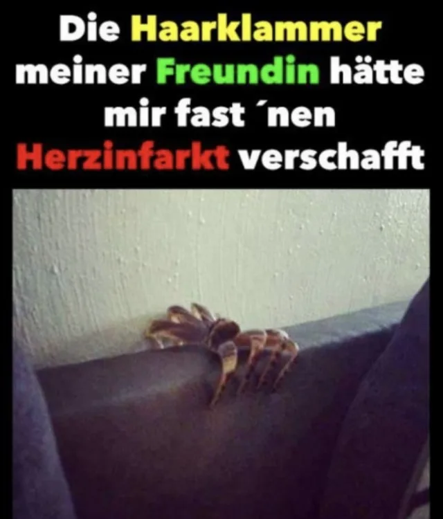 0guv1zbqvev0.webp