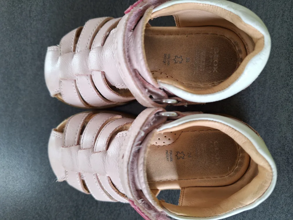zh6y6033wj64.webp