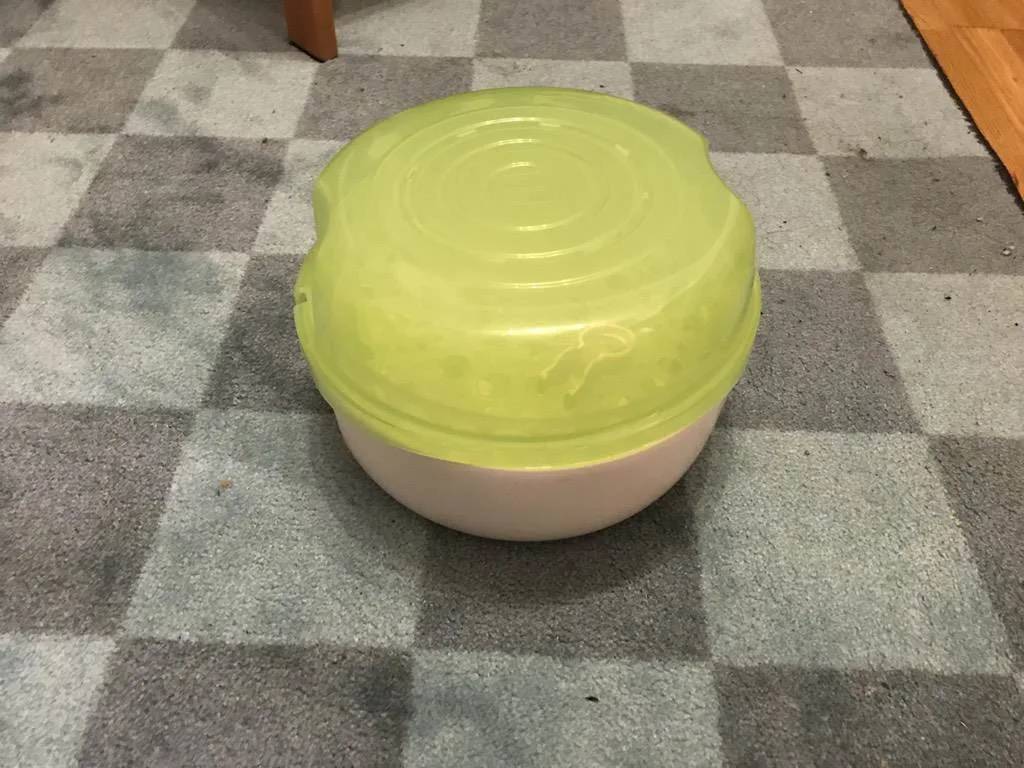 5bxx1m8qubai.webp