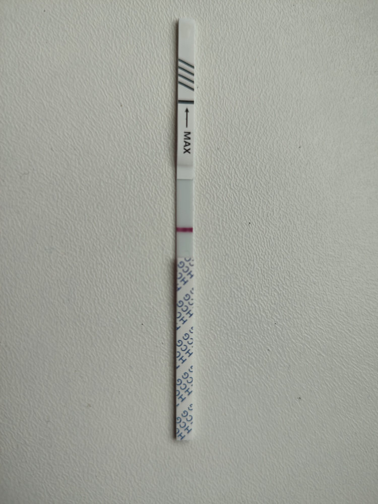 qvvit8g8i26b.jpg