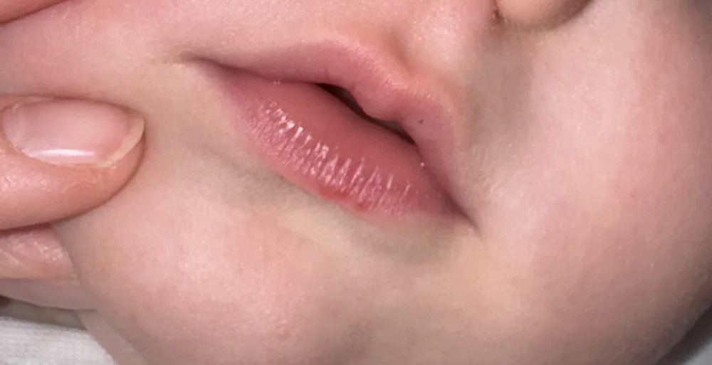 muhbxd8nl9tp.webp